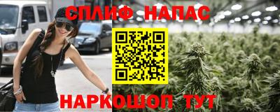 сатива Жуковский