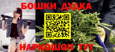 сатива Жуковский
