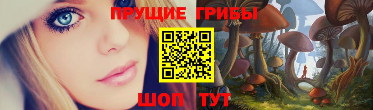 Мариинск  Псилоцибиновые грибы GOLDEN TEACHER  Вход с VPN 